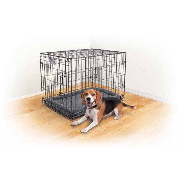 Kazoo Premium Dog Crate Medium-Habitat Pet Supplies