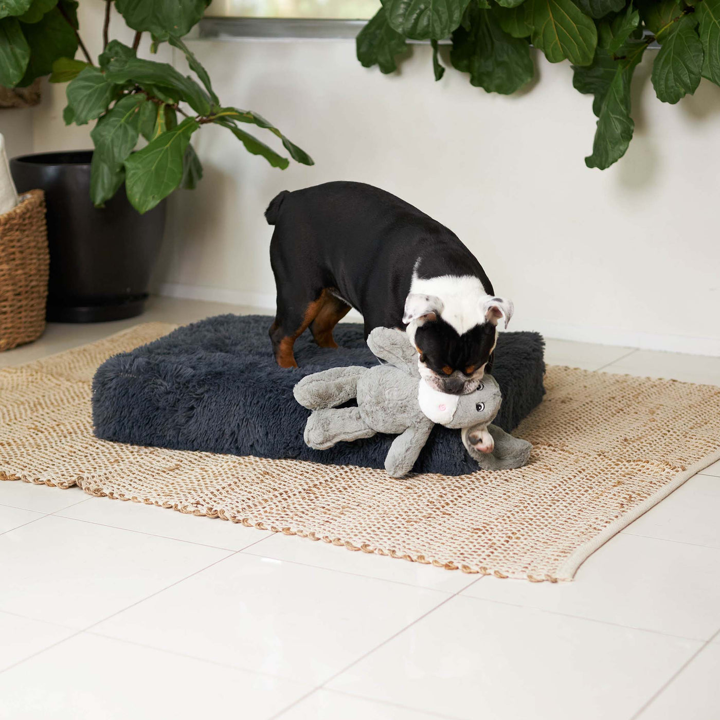 Extra large plush dog hot sale bed