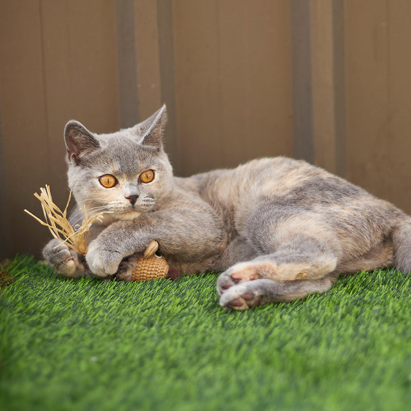 Kazoo Sneaky Mouse Cat Toy-Habitat Pet Supplies