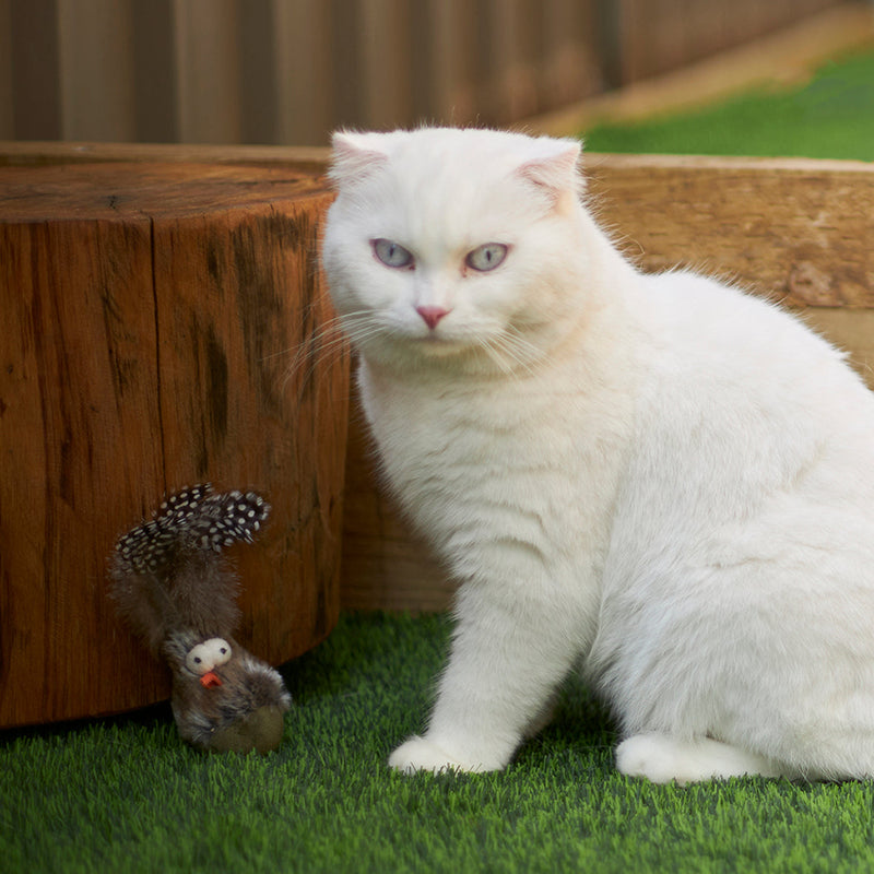 Kazoo Wobble Bird Cat Toy^^^