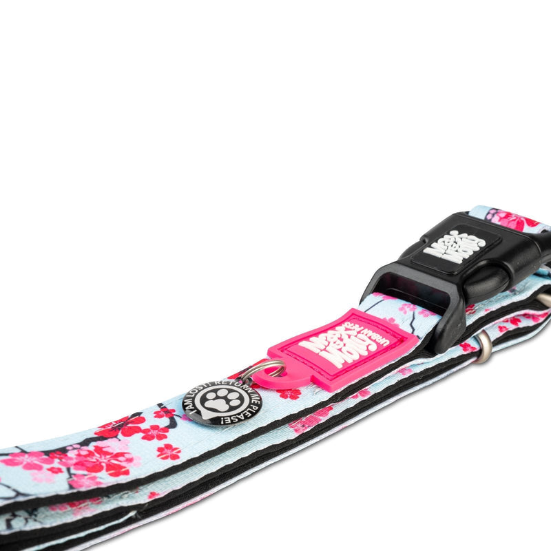 Max & Molly Cherry Bloom Smart ID Dog Collar Medium