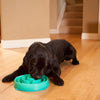 Outward Hound Fun Feeder Slo-Bowl Drop Dog Bowl Teal