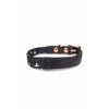 Pupstyle Blessed City Dog Collar Small***-Habitat Pet Supplies