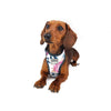 Pupstyle Fresh Blooms Dog Harness Extra Small***