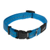 Rogz Classic Small Dog Collar Turquoise^^^-Habitat Pet Supplies