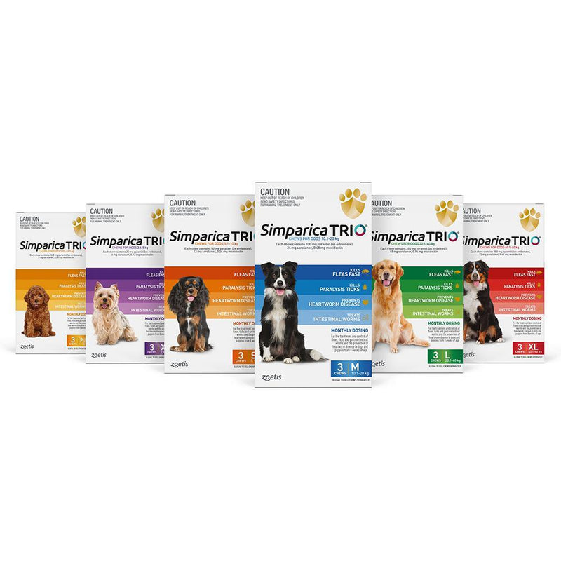 Simparica Trio Flea Tick and Worming Chews for Medium Dogs Blue 3 Pack