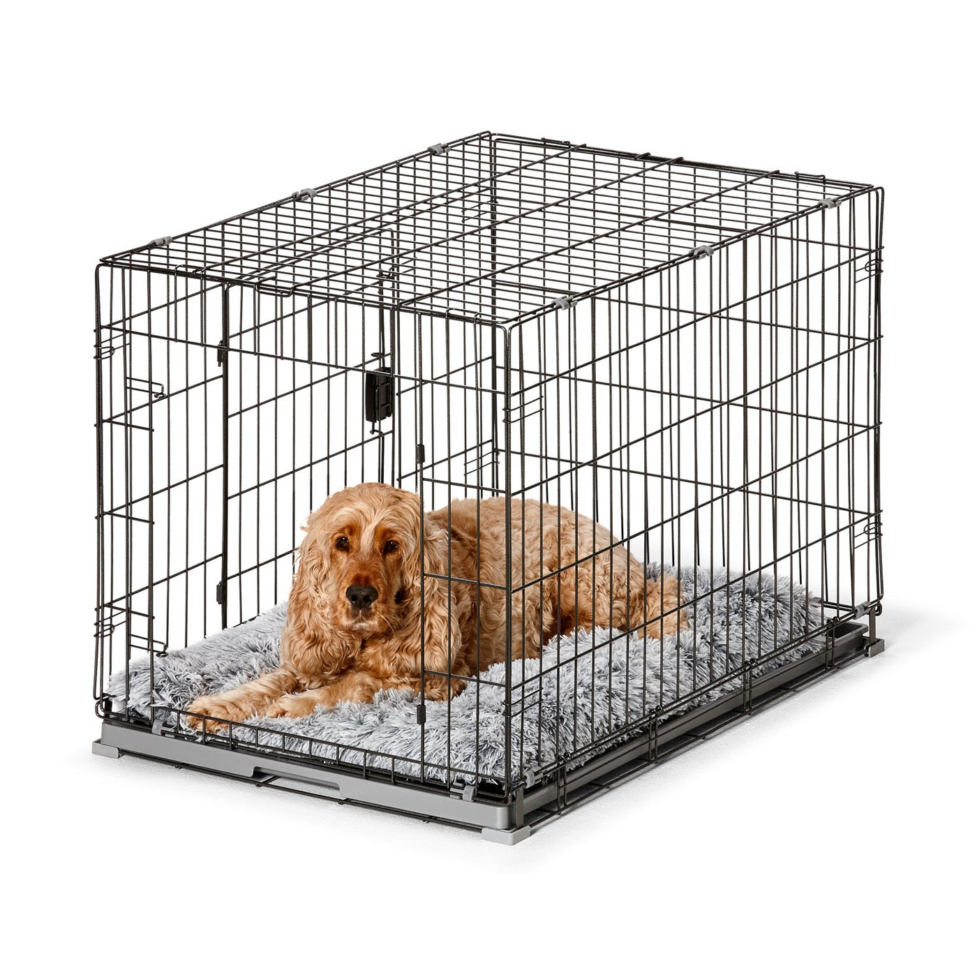 Extra wide 2024 dog crate