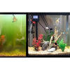 Splosht Aquarium Pack 20L to 500L^^^