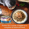 Wellness CORE Signature Selects Shredded Chicken and Chicken Liver Entrée Wet Cat Food 79g x 12