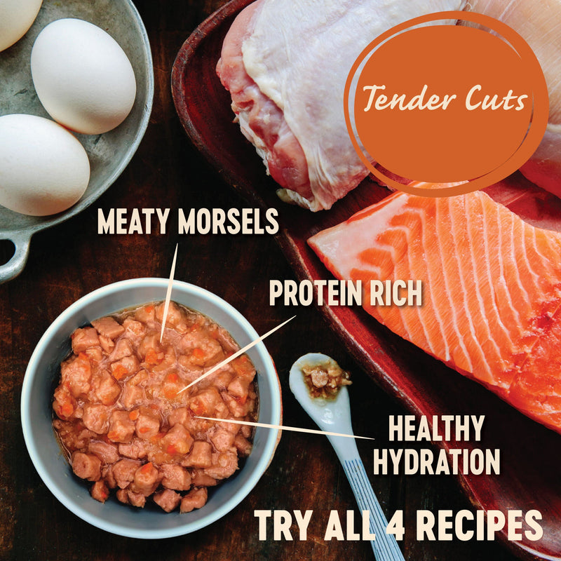 Wellness CORE Tender Cuts with Tuna in Gravy Wet Cat Food 85g x 8