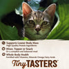 Wellness CORE Tiny Tasters Chicken Paté Wet Cat Food 50g